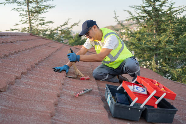 Best Roof Waterproofing Services  in Lyman, MS